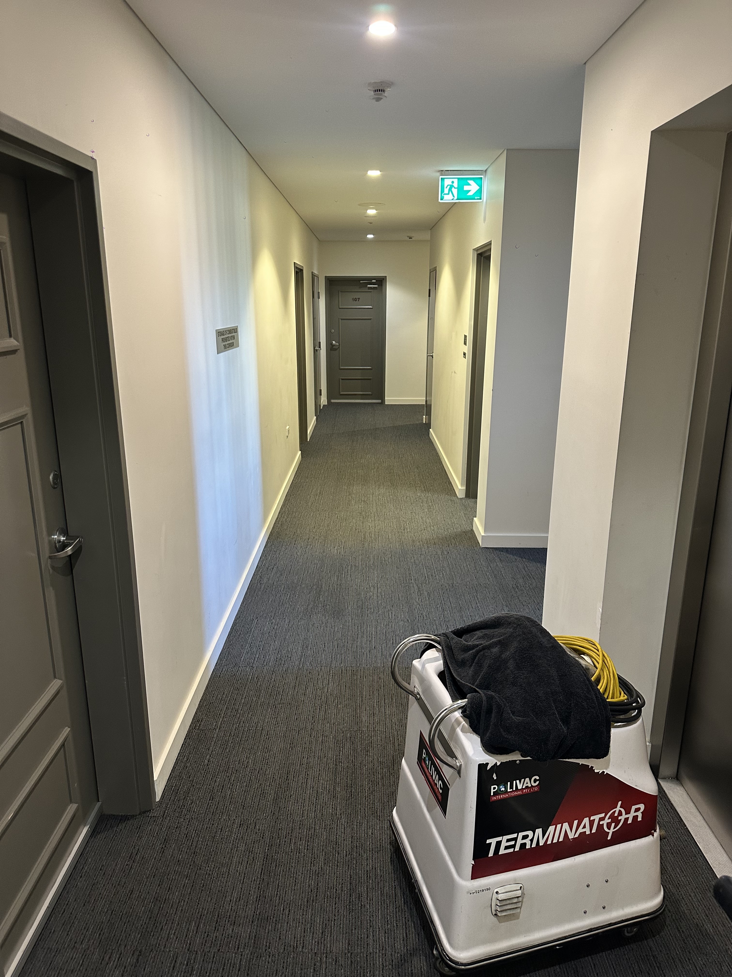 carpet steam cleaning results Sydney