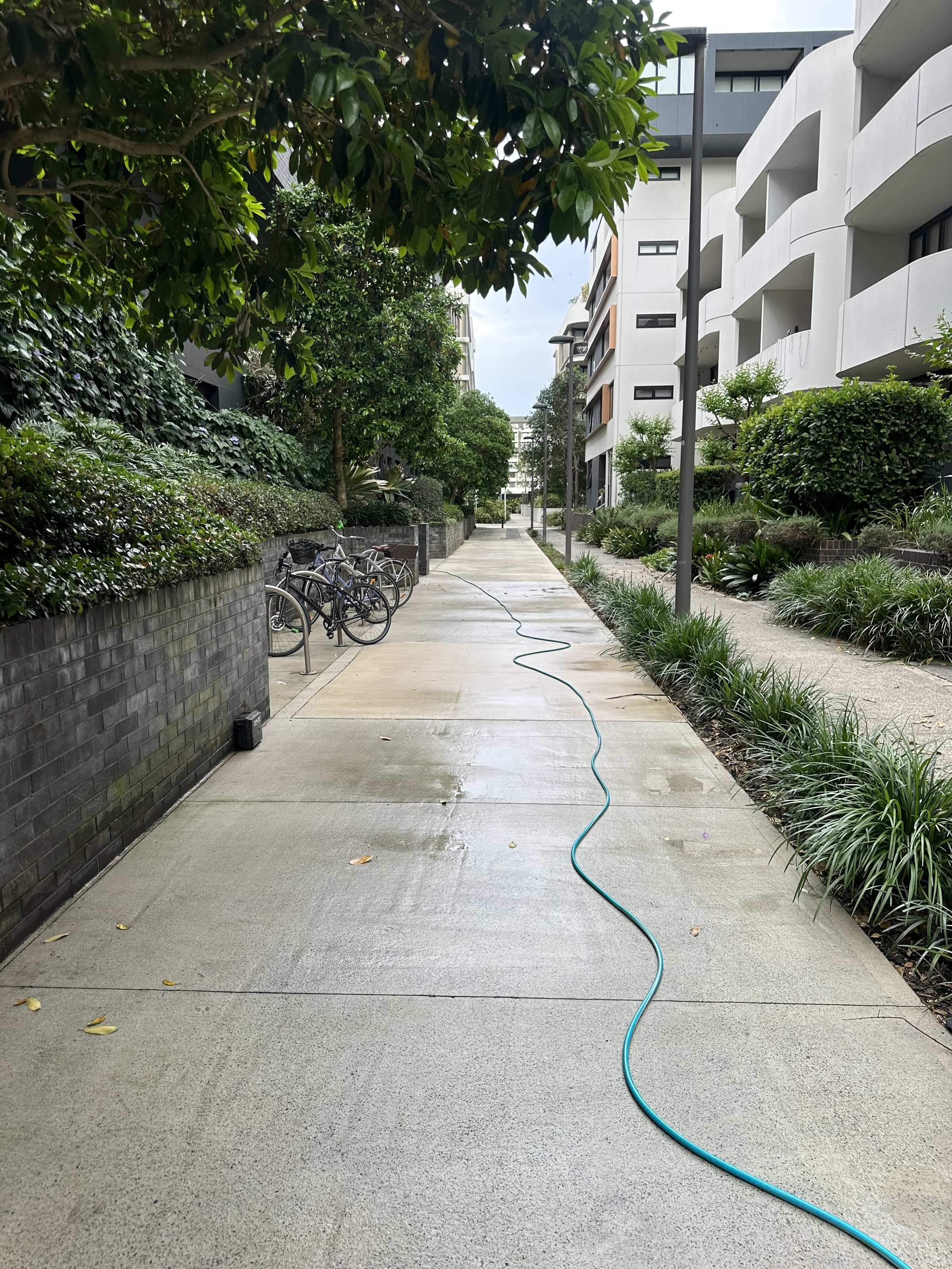 pressure washing results Sydney